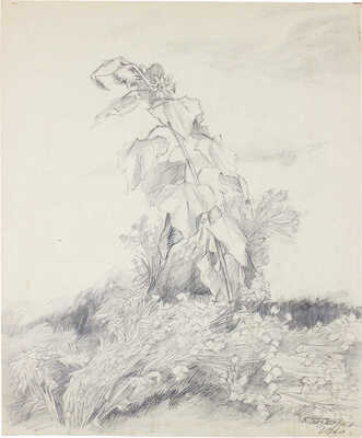 Чеботарёв Константин Константинович. Подсолнечник после бури 